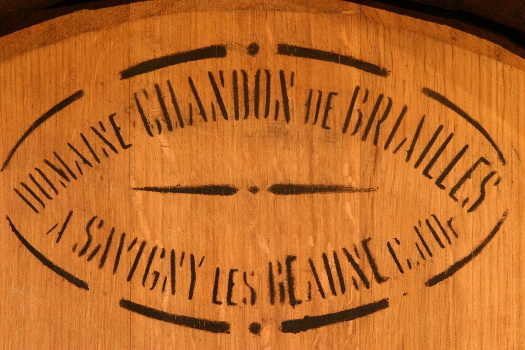 Maison D'Hotes Chandon De Briailles サヴィニー・レ・ボーヌ エクステリア 写真